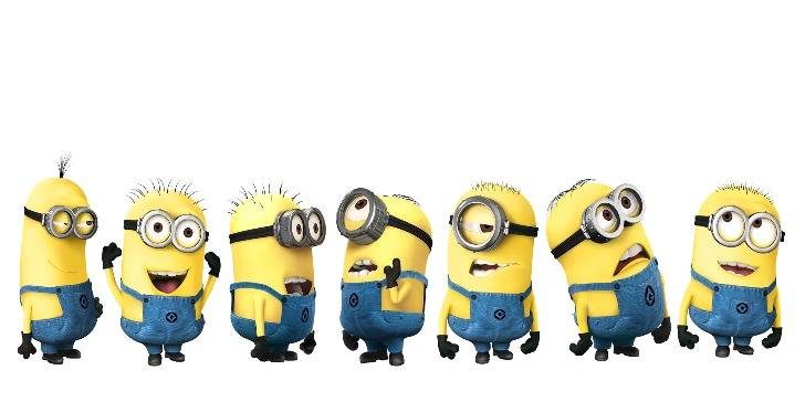 minion 13