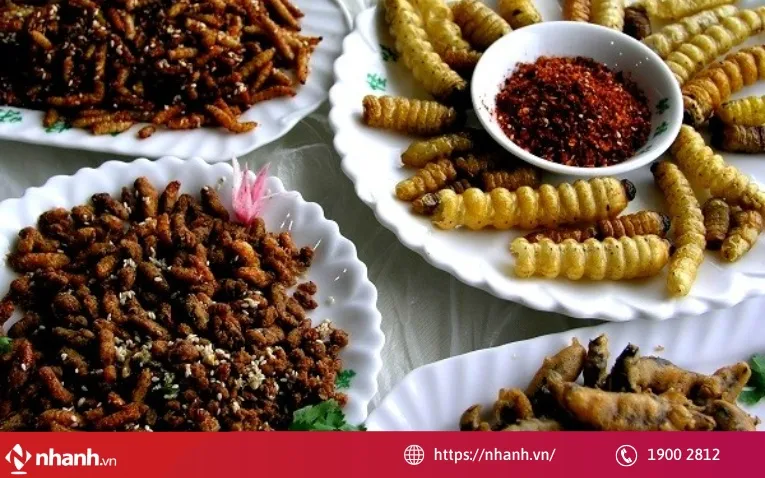 Kinh doanh côn trùng ăn được