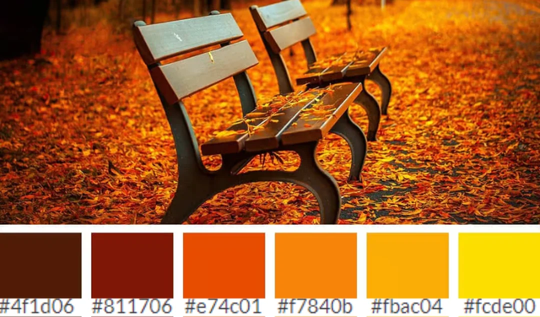 Bảng tham khảo cách pha màu cam nâu cho tông ấm trầm