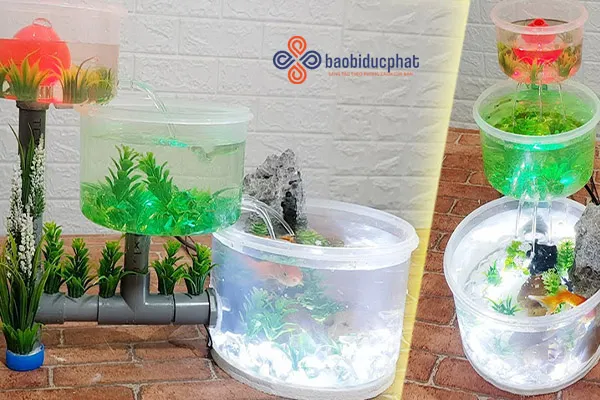 Bể cá mini tự làm từ can nhựa lớn