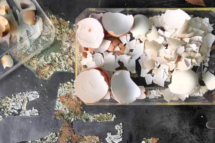 Bộ dụng cụ vẽ tranh sơn mài gồm giấy nhám, bút tỉa và các công cụ hỗ trợ