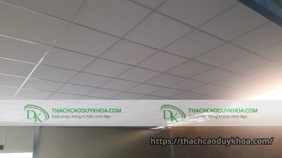 Bột thạch cao chất lượng cao