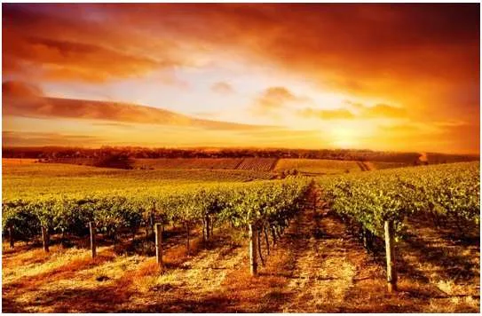 Bức tranh một khu nông trại vào cuối buổi hoàng hôn