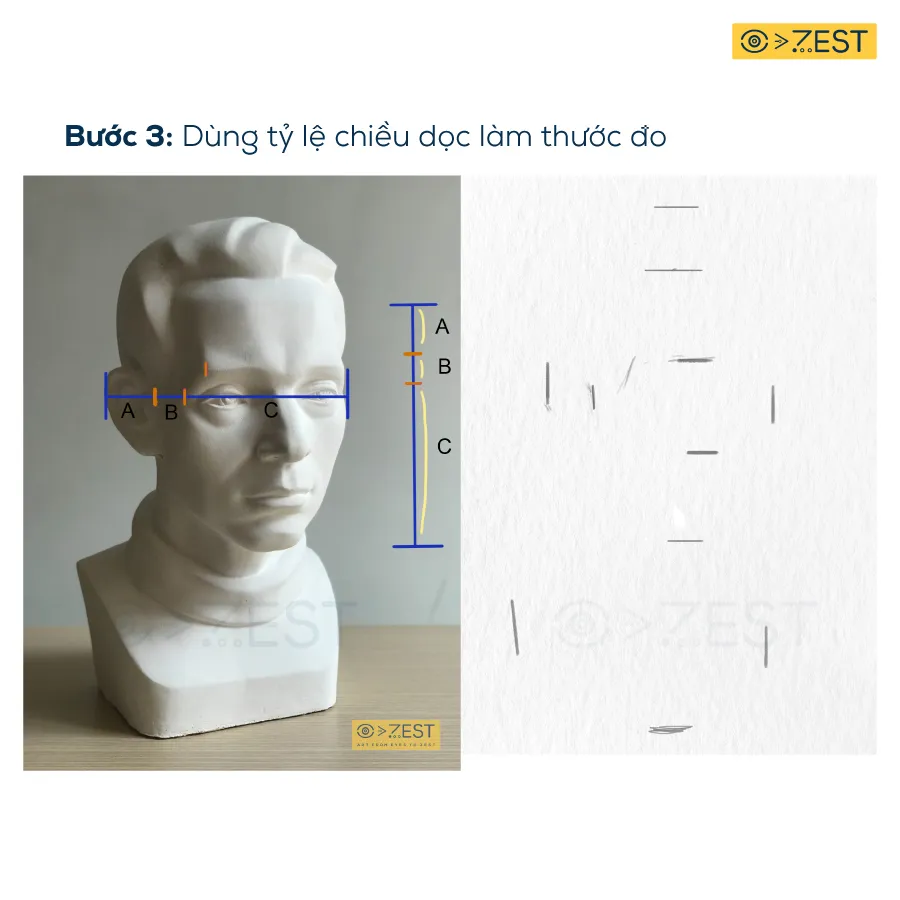 Dùng tỷ lệ dọc làm thước đo ngang