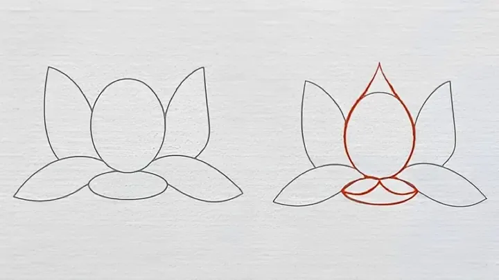 Các bước vẽ hoa sen từ cơ bản đến hoàn thiện