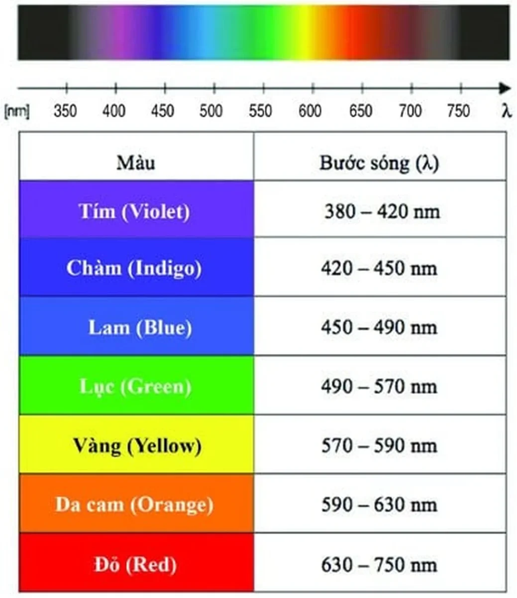 cách pha màu chàm từ sắc xanh tím đậm