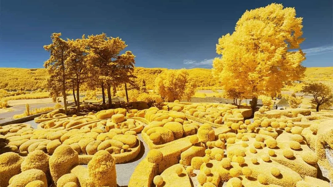 cách pha màu vàng hỏi đáp nhanh cho người mới bắt đầu