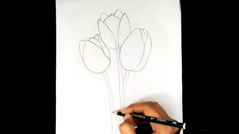 Cách phác thảo tranh vẽ hoa đẹp bằng bút chì tập trung vào độ đậm nhạt và hình khối
