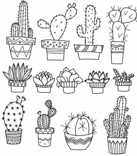 Cách vẽ cây xương rồng đơn giản và ngộ nghĩnh cho người mới