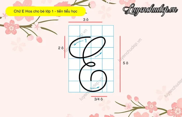Cách viết chữ E hoa cho bé lớp 1, tiền tiểu học