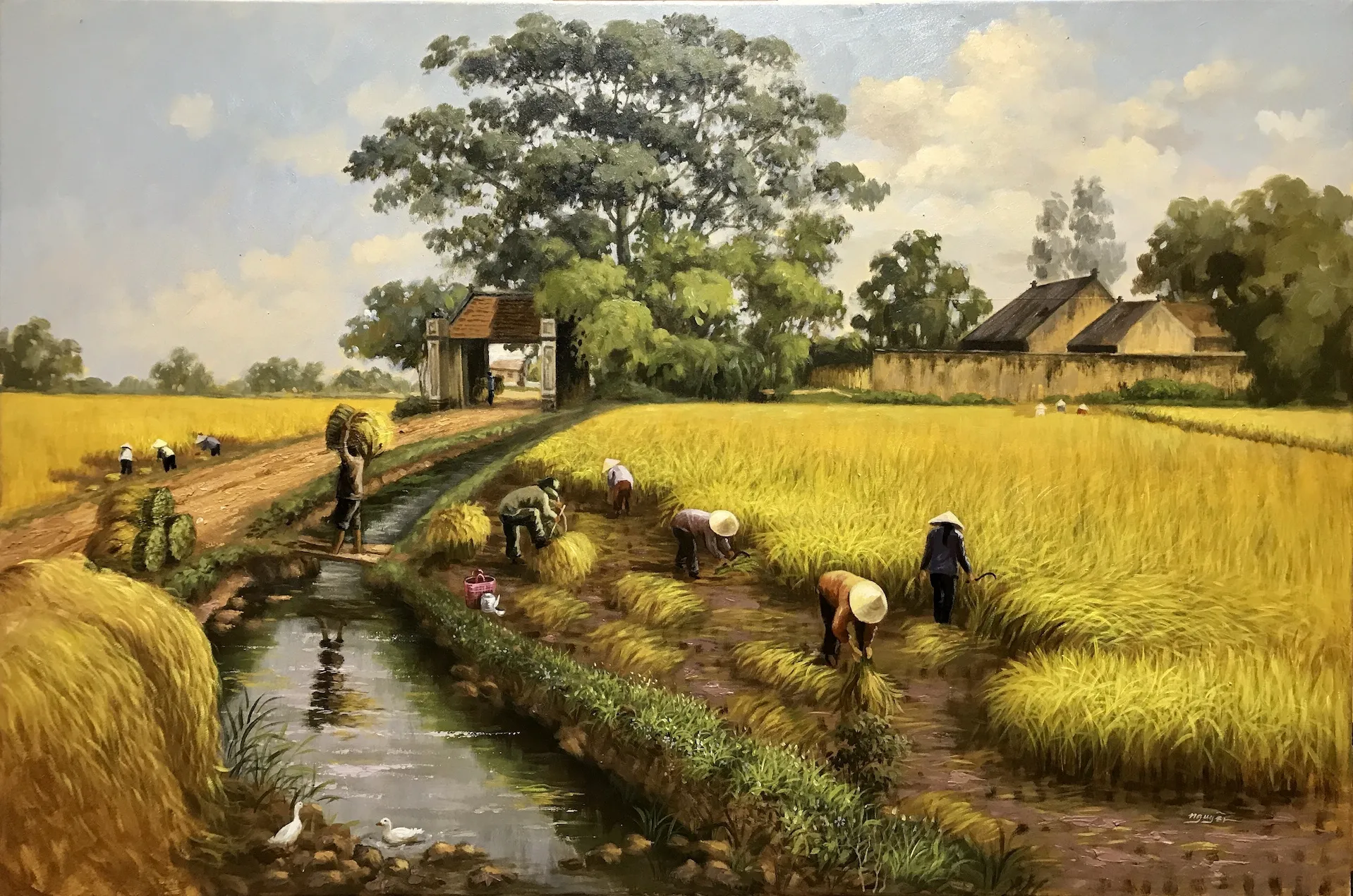 Cảnh gặt lúa rộn ràng trên cánh đồng quê hương Việt Nam