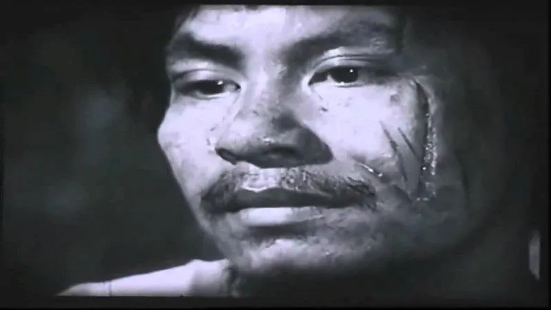 Chí Phèo vốn là một chàng trai lương thiện