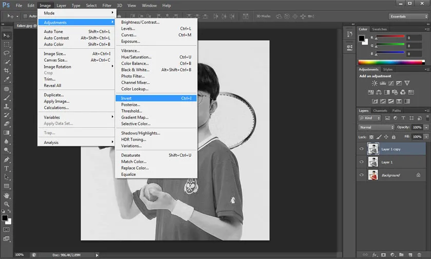 Chọn Invert để tạo hiệu ứng âm bản cho bức hình