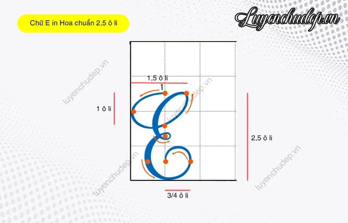 Cách viết chữ E in hoa chuẩn 2,5 ô li