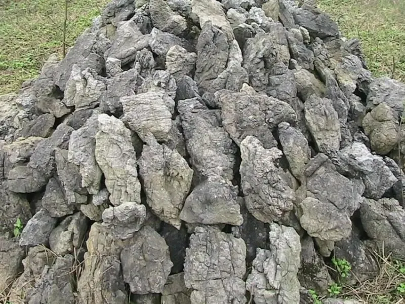 Đá tai mèo với hình dạng độc đáo