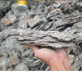 Đá san hô tạo cảnh quan biển thu nhỏ