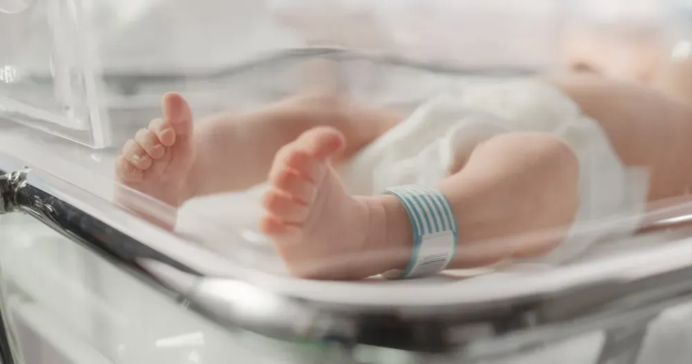 Tên hay cho bé mệnh Mộc phối hợp ngũ hành 2026