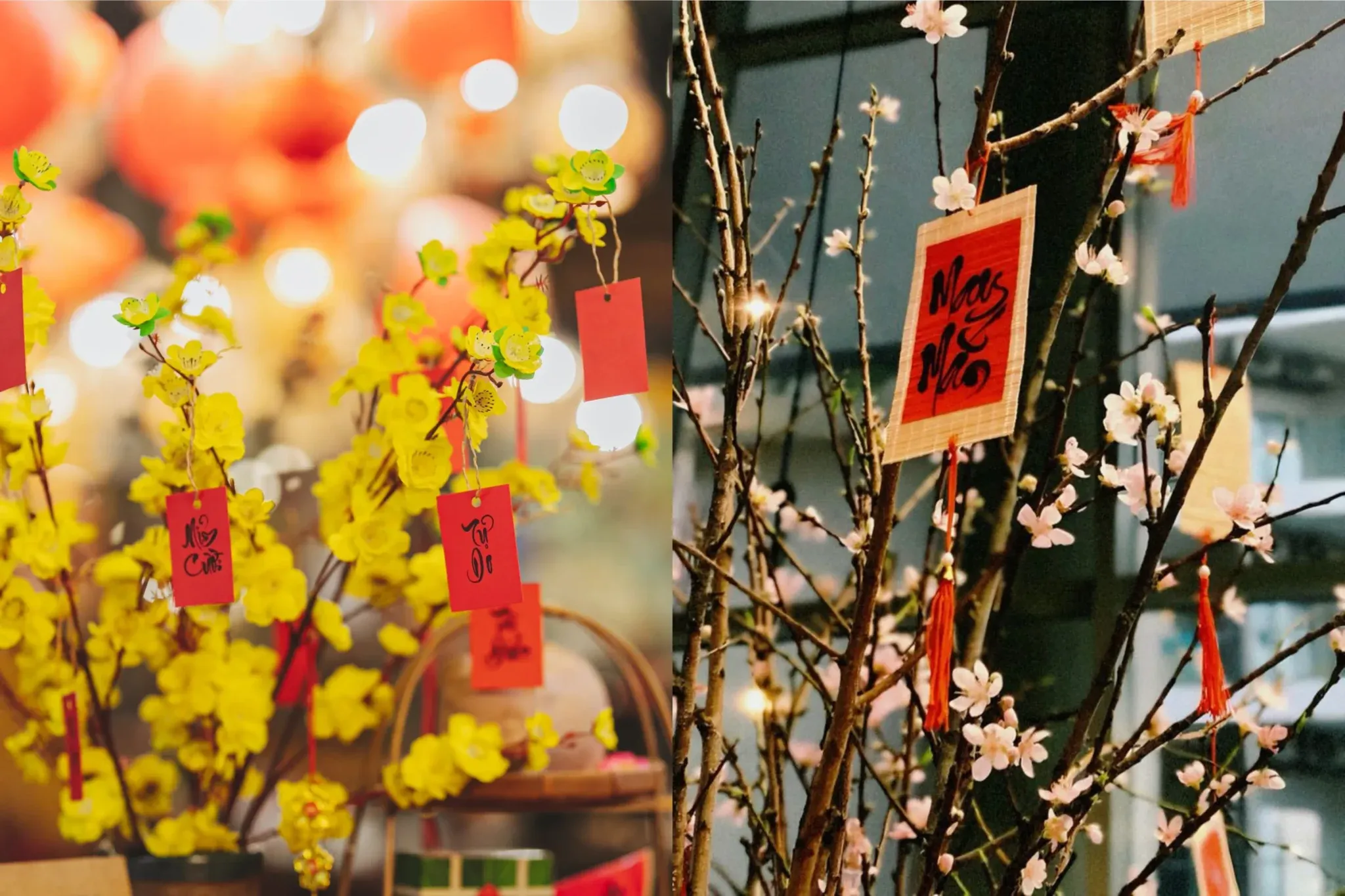 Cây mai vàng và đào thắm trưng bày tại vị trí trung tâm sân vườn.