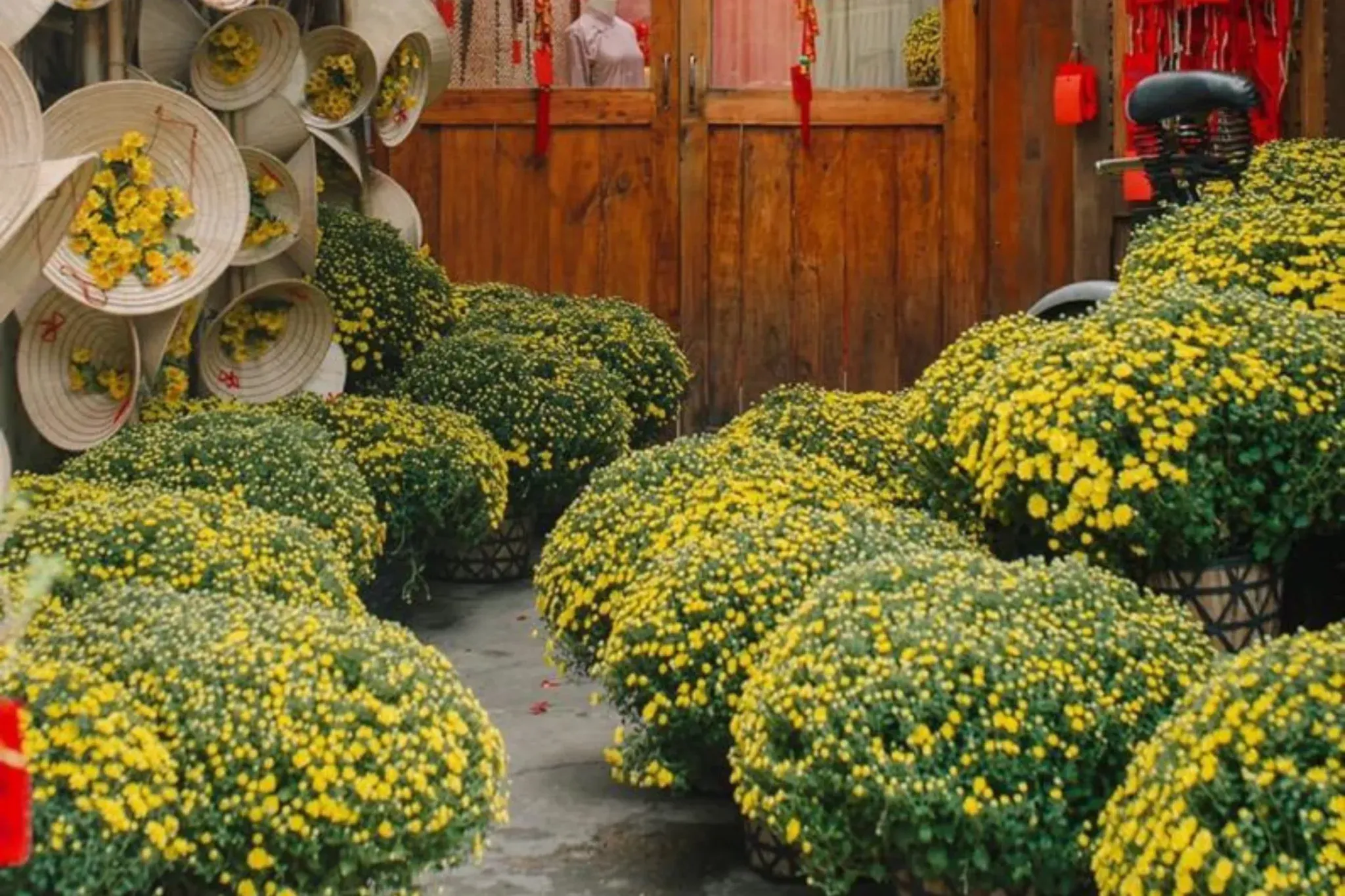 Lối đi sân vườn sạch đẹp điểm xuyết sắc xanh đón năm mới.