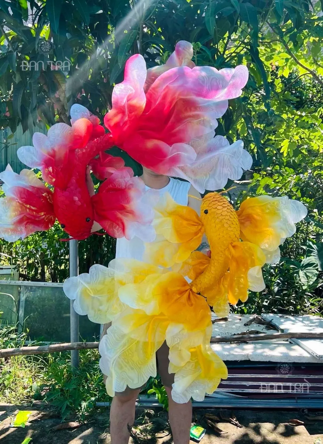 Ä‘Ã¨n con cÃ¡