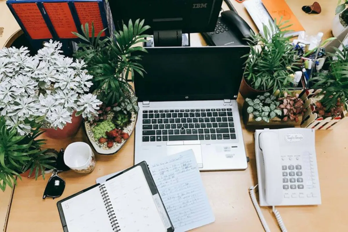 Những món đồ không nên trang trí bàn làm việc mệnh Mộc