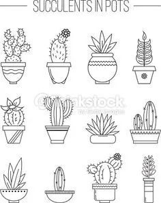 Hình vẽ xương rồng nghệ thuật với nhiều chi tiết độc đáo