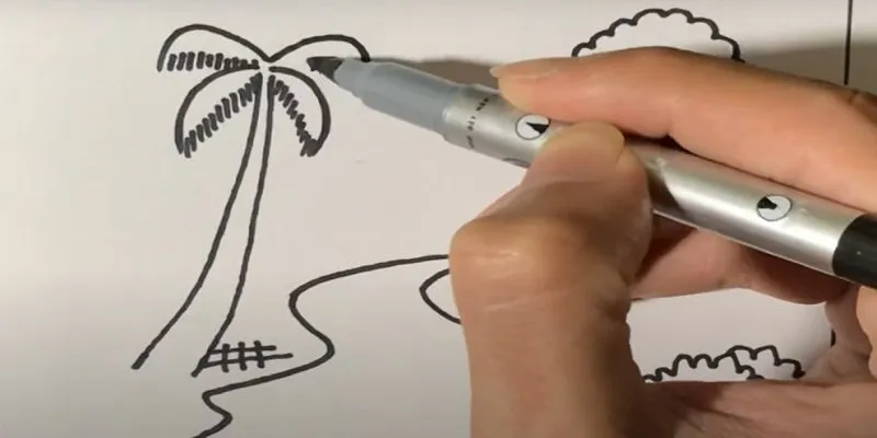 Hoàn thiện tán cây dừa với các tàu lá phía trên ngọn