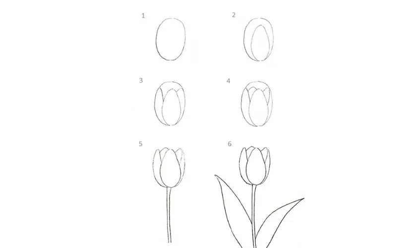 Hướng dẫn chi tiết từng bước tạo nên tranh vẽ hoa đẹp với chủ đề hoa tulip đơn giản