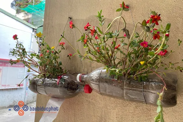 Chậu hoa treo ban công làm từ vỏ chai