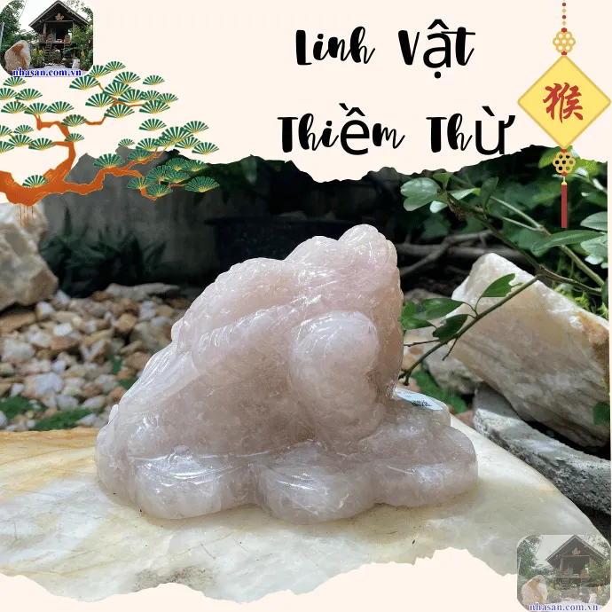 CÃ³c ba chÃ¢n cÃ³ thá»ƒ giÃºp ngÆ°á»i tuá»•i BÃ­nh ThÃ¬n thu hÃºt tÃ i lá»™c, tiá»n báº¡c