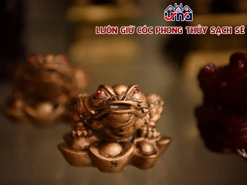 Luôn giữ cóc phong thủy sạch sẽ