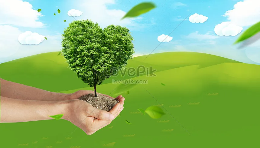 Màu xanh lá cây sáng tạo mang lại niềm hy vọng cho hệ sinh thái tương lai