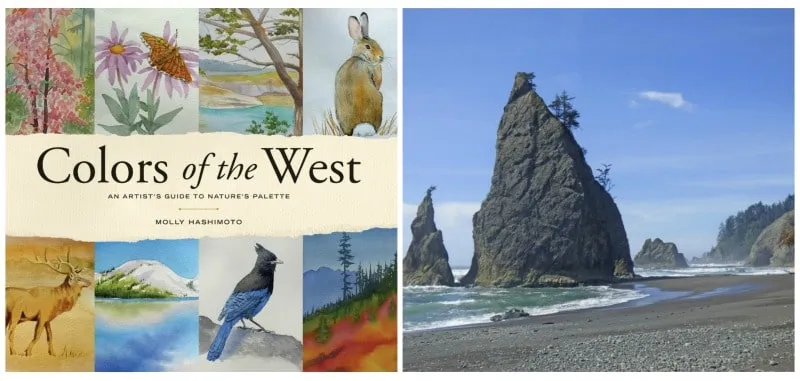 Dụng cụ vẽ tranh tô màu nước biển chuyên nghiệp