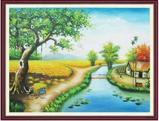 Những cánh đồng lúa vàng bát ngát