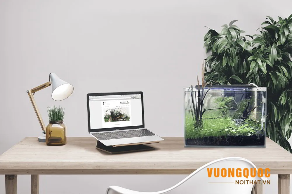 Những vật phẩm nên bài trí trên bàn làm việc theo phong thủy