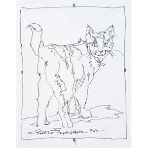 Sử dụng bảng màu hạn chế giúp kiểm soát sắc độ và sự hài hòa của bức tranh