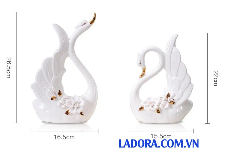 Kích thước chim thiên nga