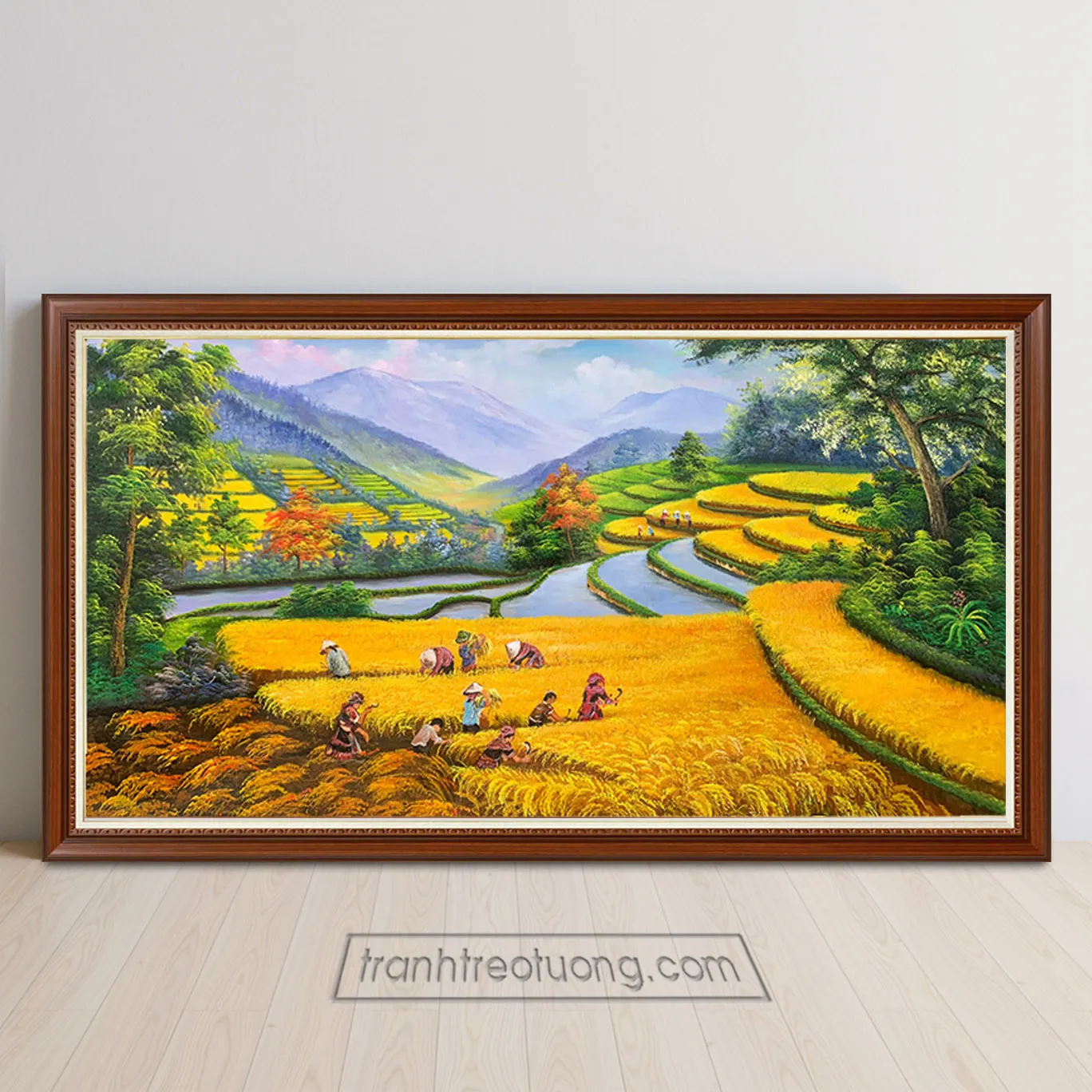 Ruộng bậc thang chín vàng rực rỡ trong vụ thu hoạch tại vùng núi phía Bắc