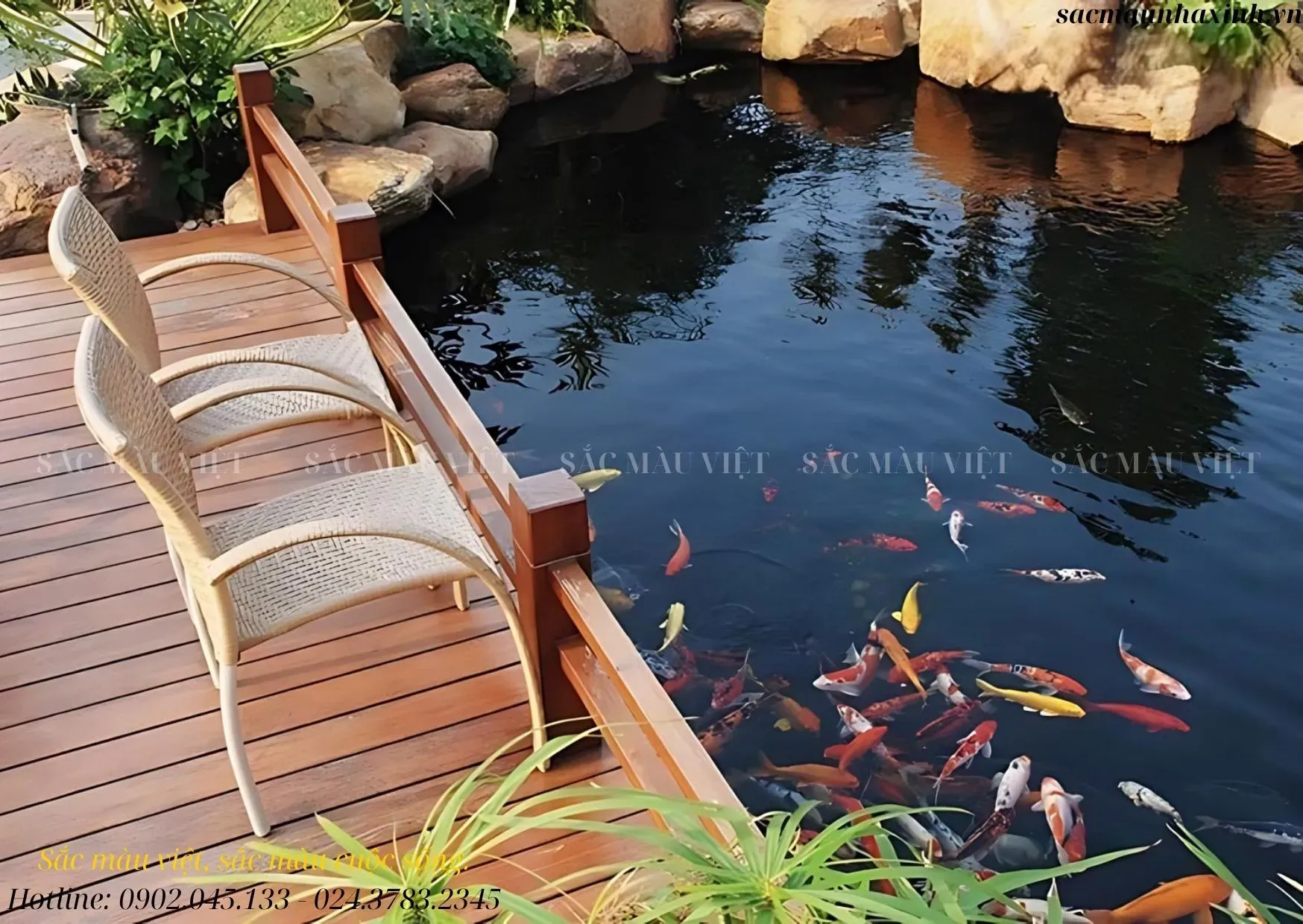 Hồ cá hình bán nguyệt