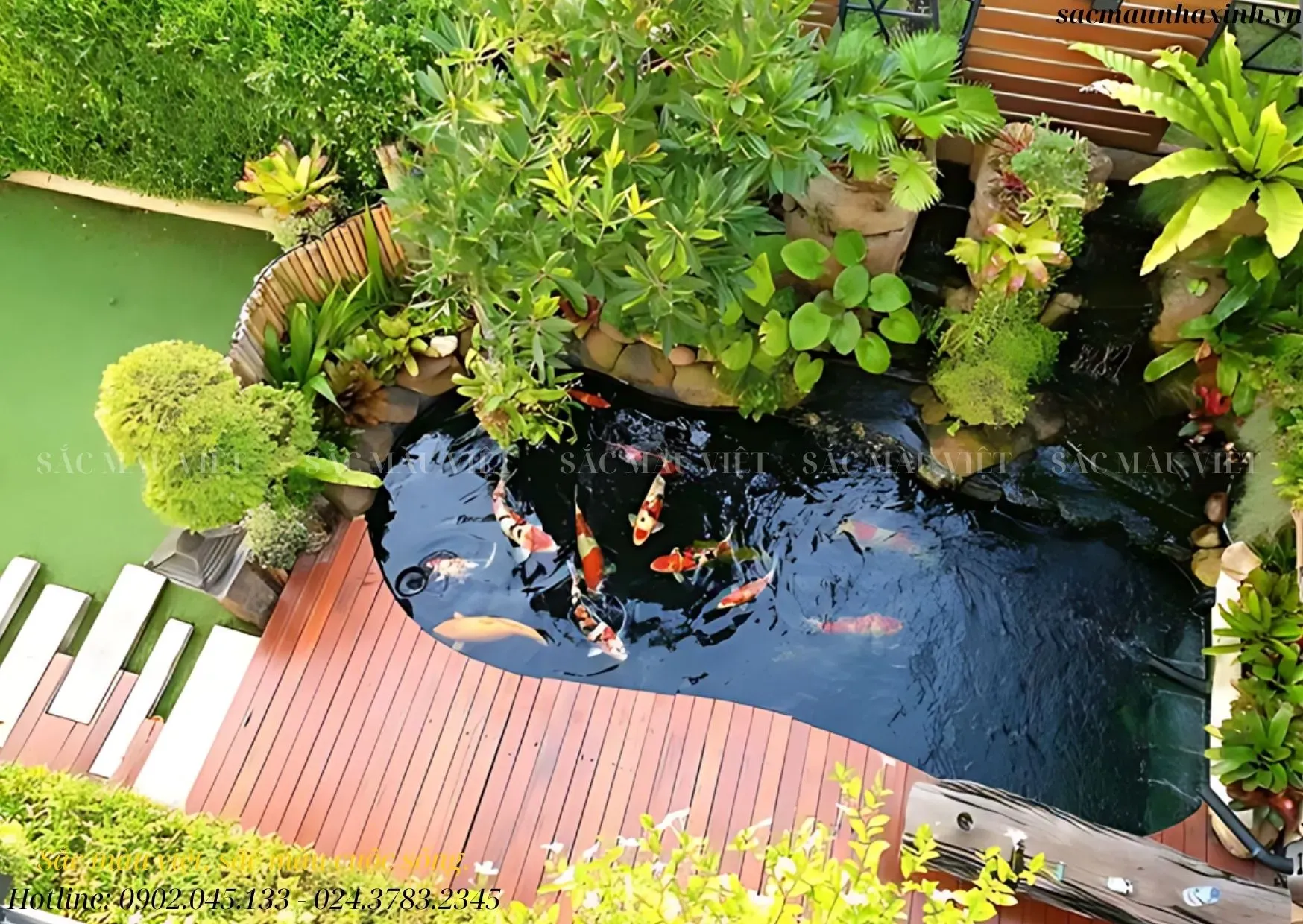 Lưu ý khi xây hồ cá