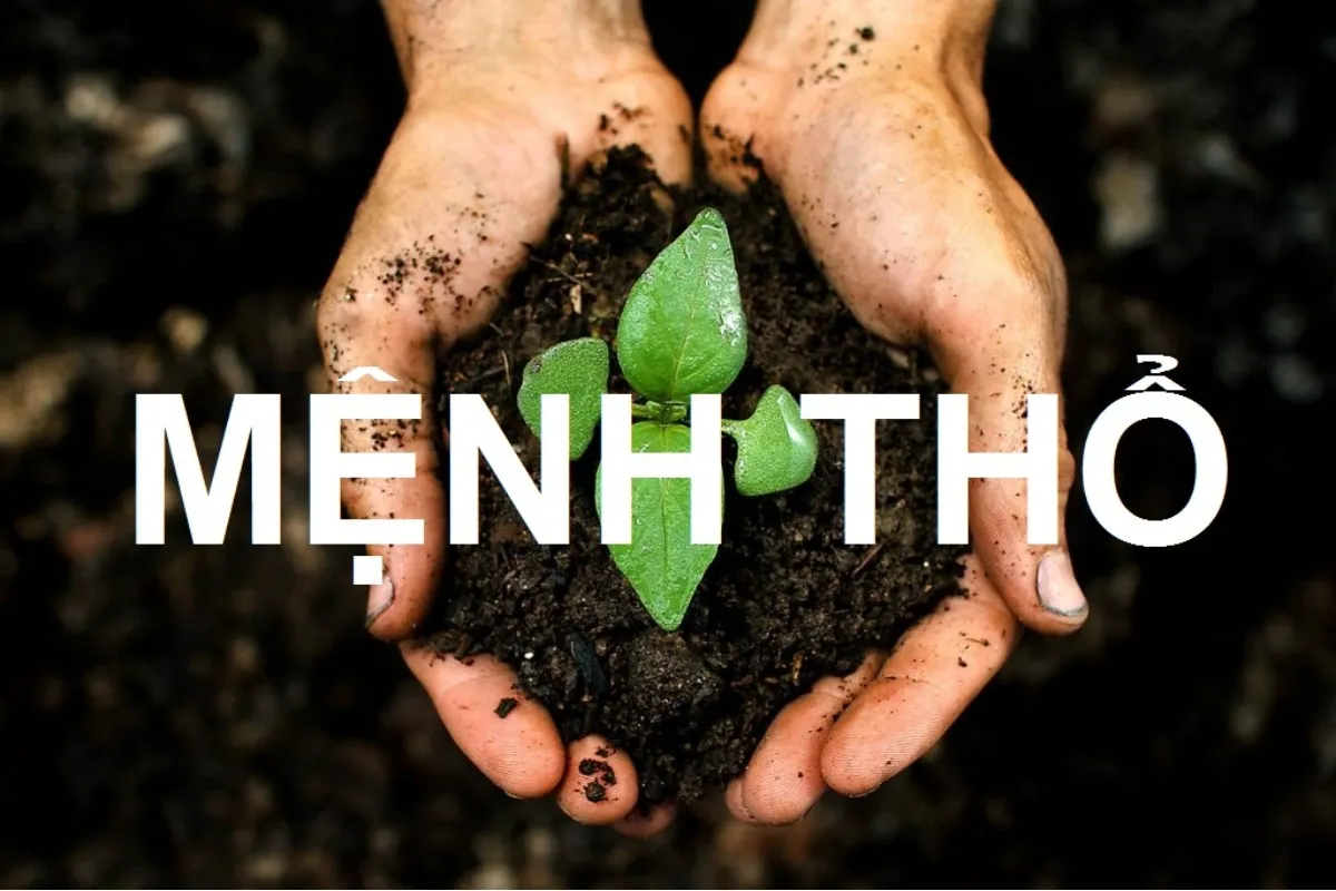 Sơ lược về người mệnh Thổ