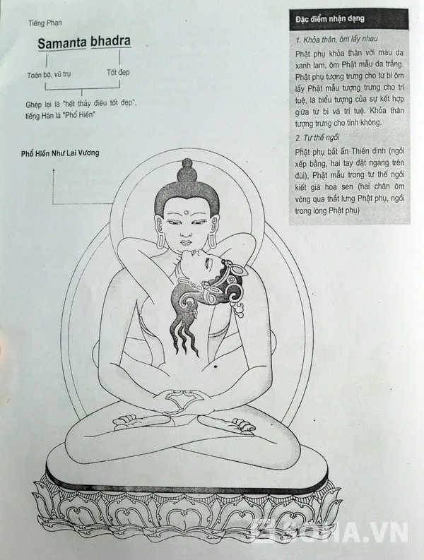 Phật phụ Phật mẫu Phổ Hiền Như Lai Vương (trích Tây Tạng sinh tử kỳ thư)