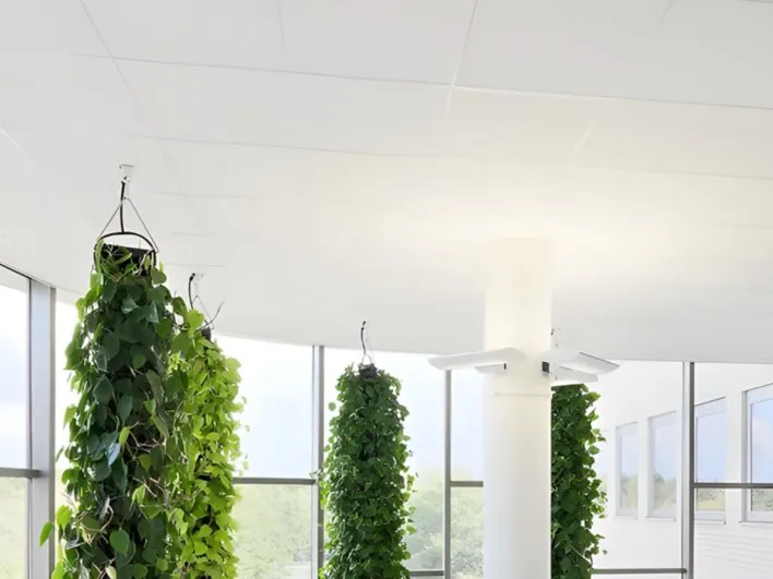 Tấm trần trang trí Knauf dễ dàng vệ sinh và bảo trì