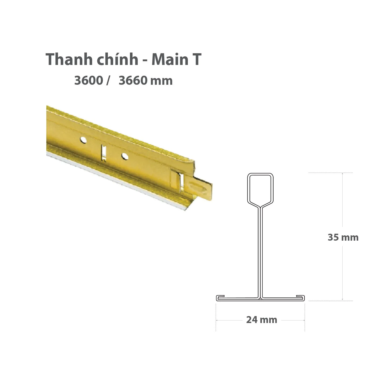 Bản vẽ chi tiết thông số kỹ thuật thanh chính Main T 3600mm cho khung xương trần thả thạch cao kích thước 600x600mm và 600x1200mm