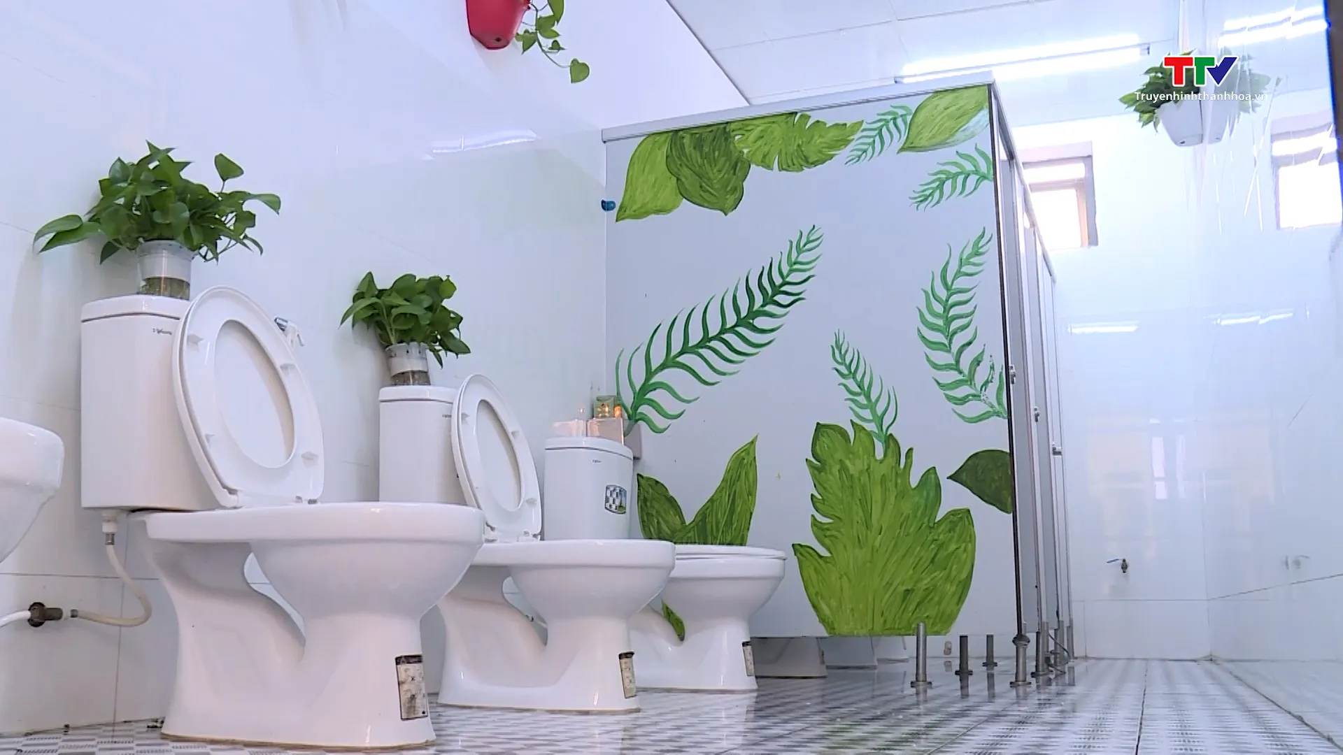 Chai nhựa tái chế thành chậu cây xanh trang trí nhà vệ sinh