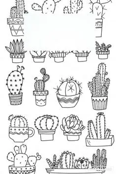 Thư giãn và sáng tạo cùng bộ tranh tô màu cây xương rồng