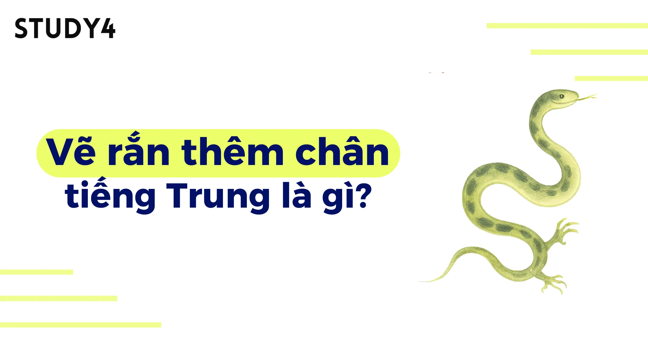 Vẽ rắn thêm chân tiếng Trung có ý nghĩa gì?