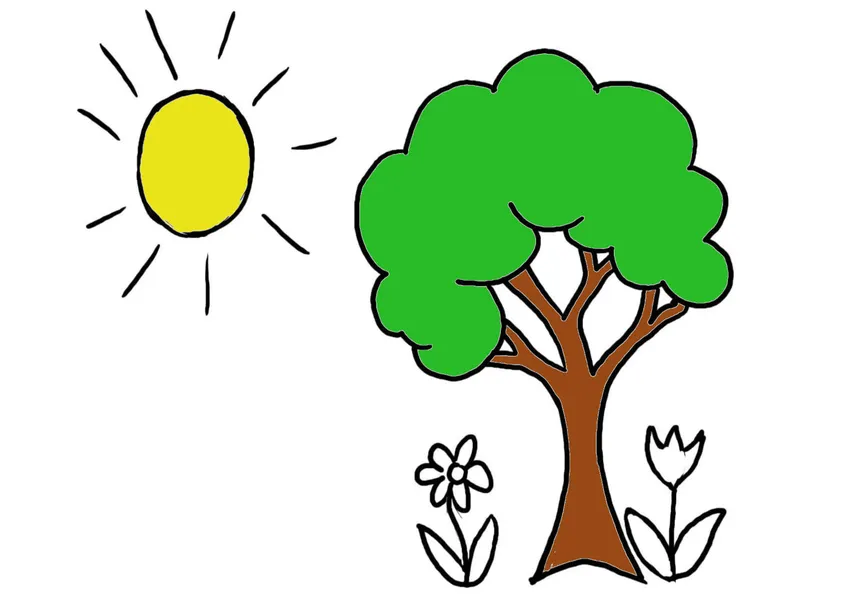 Hướng dẫn tô màu thân cây gỗ tự nhiên và sống động