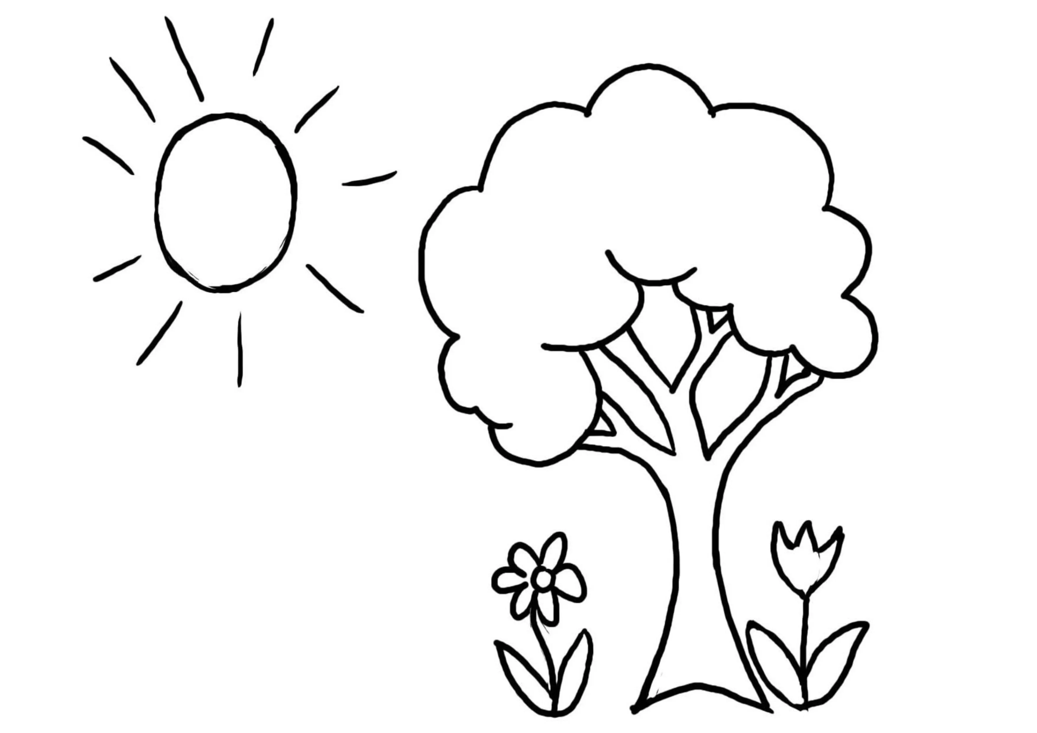 Tô màu cây xanh và ông mặt trời giúp bé làm quen với thiên nhiên