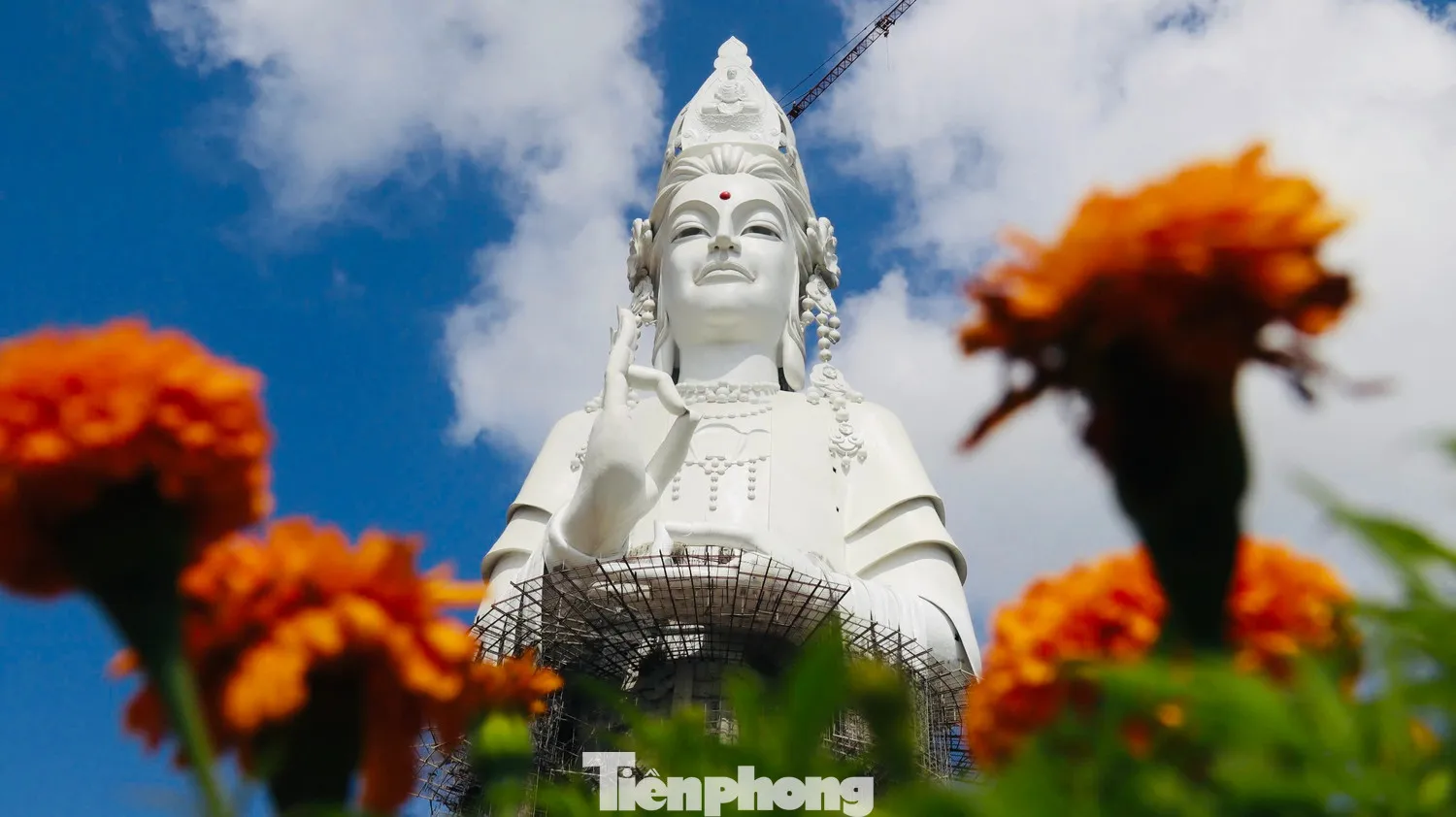 Khu văn hóa tâm linh Thiên Mã được chính quyền tỉnh Quảng Ngãi kỳ vọng trở thành điểm du lịch níu chân du khách khi đến vùng đất này